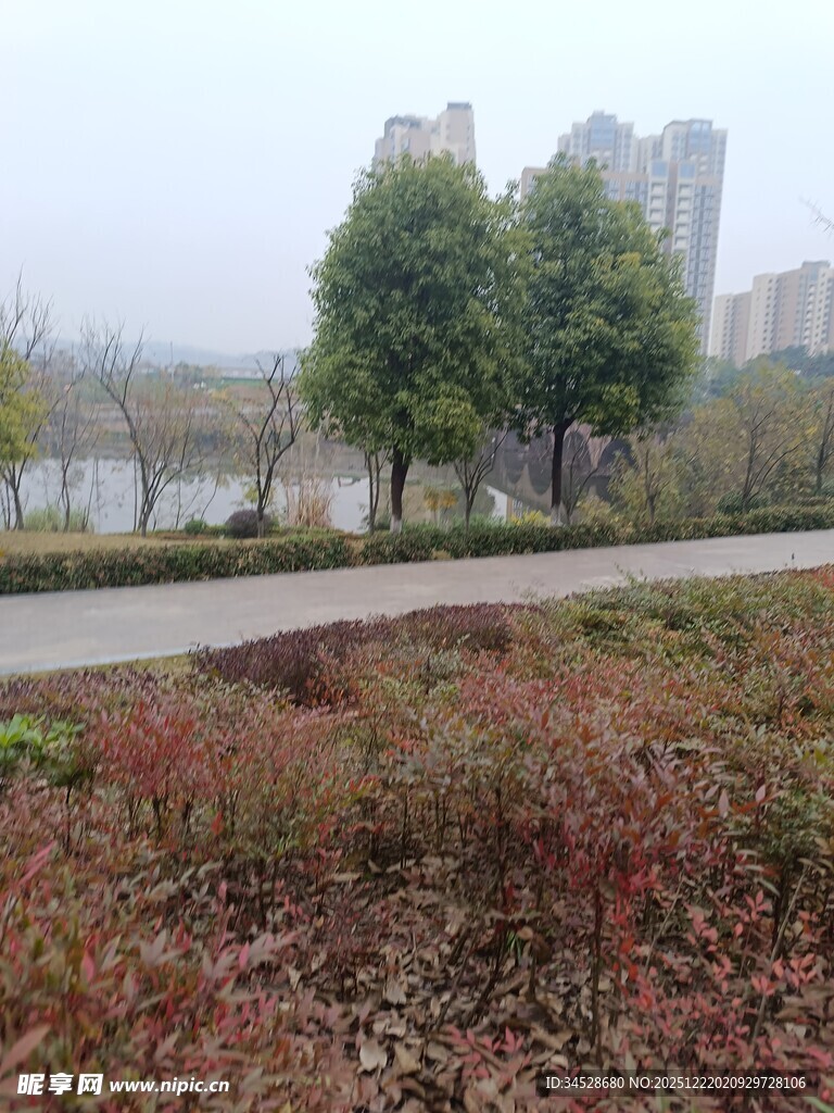 城市湖边步道风景