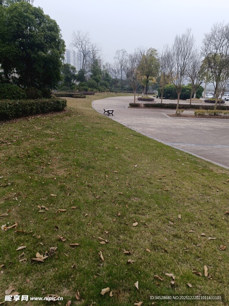 公园草地与远处景致