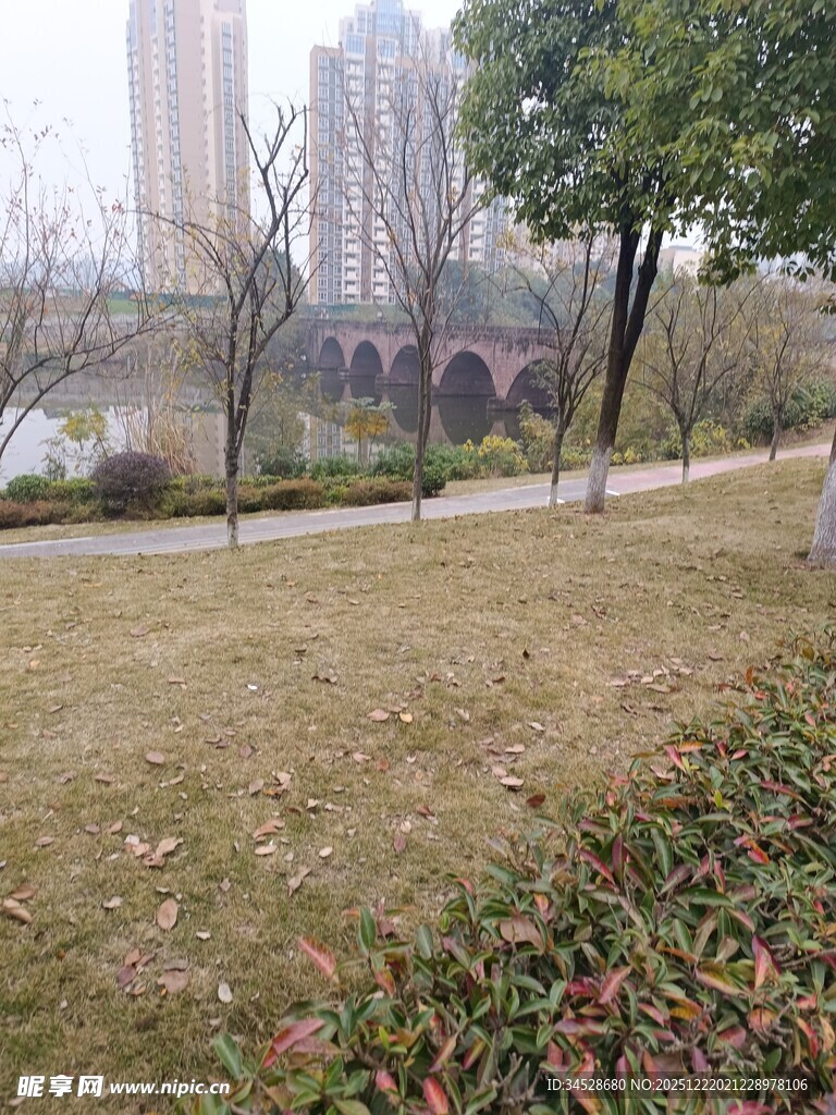 城市公园冬日景致