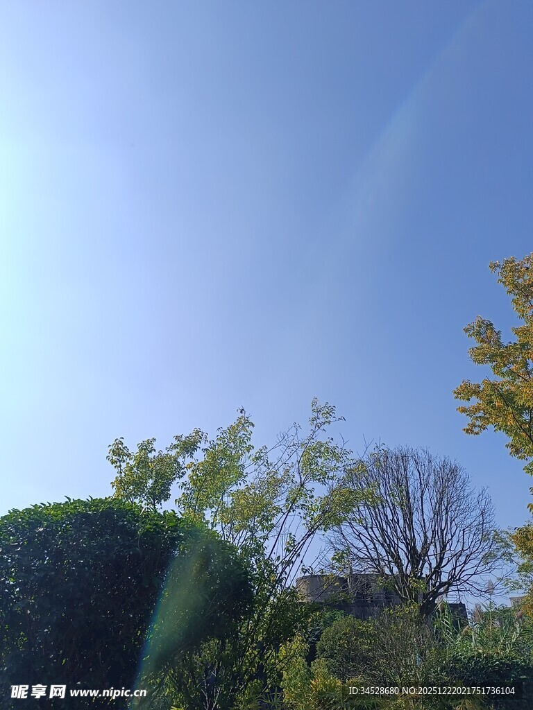 秋日蓝天绿树景致