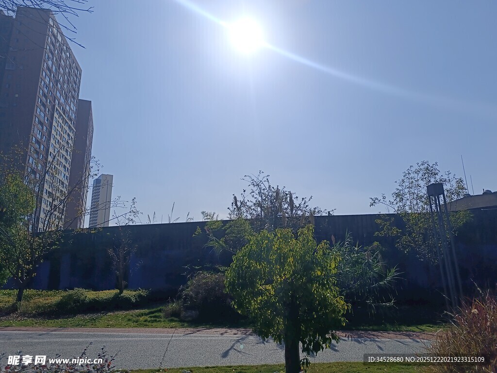 阳光照耀下的城市绿地景观