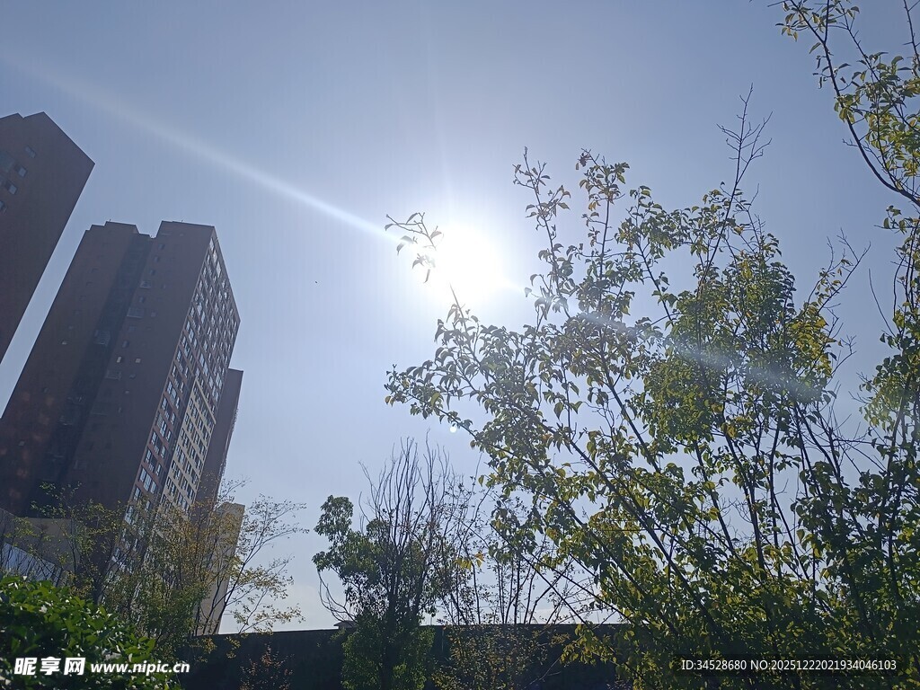 阳光照耀下的城市与绿植