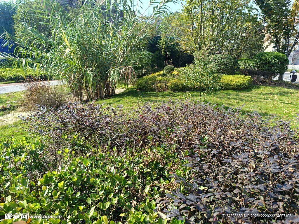 户外绿意盎然的自然景观