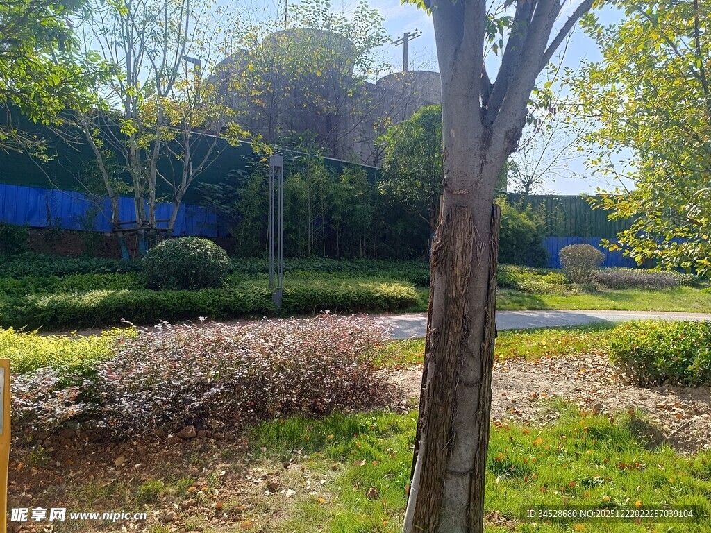 户外绿意盎然的自然景致