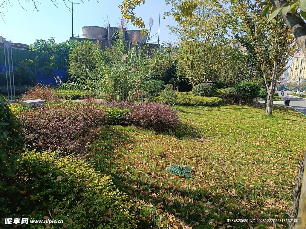 美丽户外花园景观