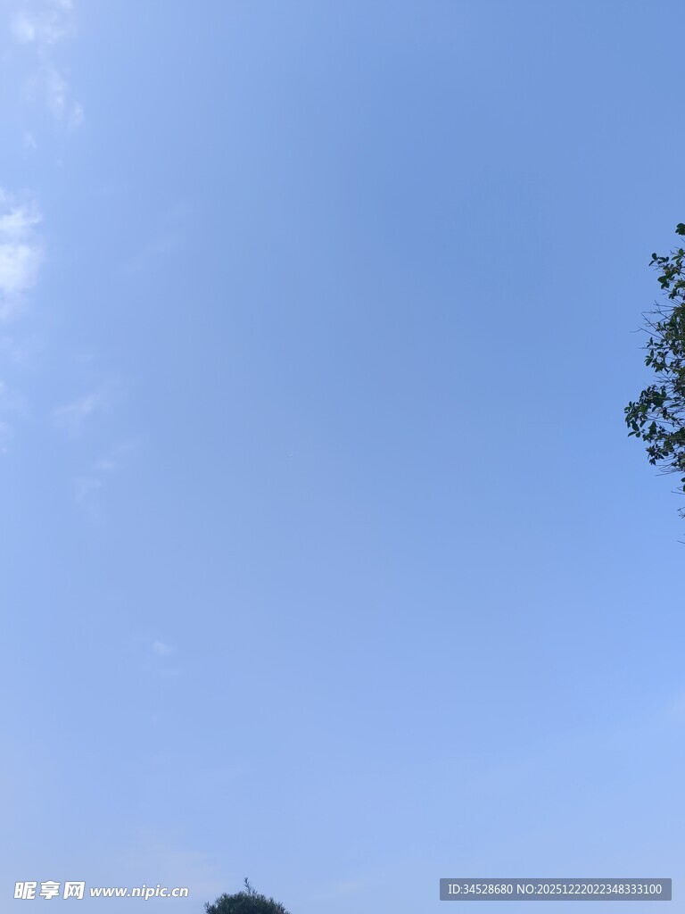 晴朗蓝天与树梢