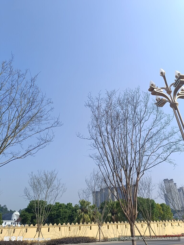 冬日空旷公园景致