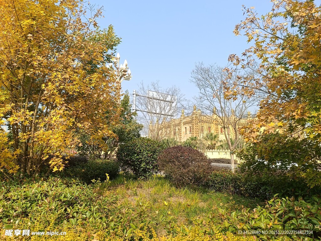 秋日林间小道景色