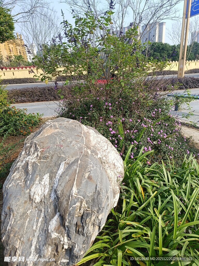 园林景观中的巨石与绿植