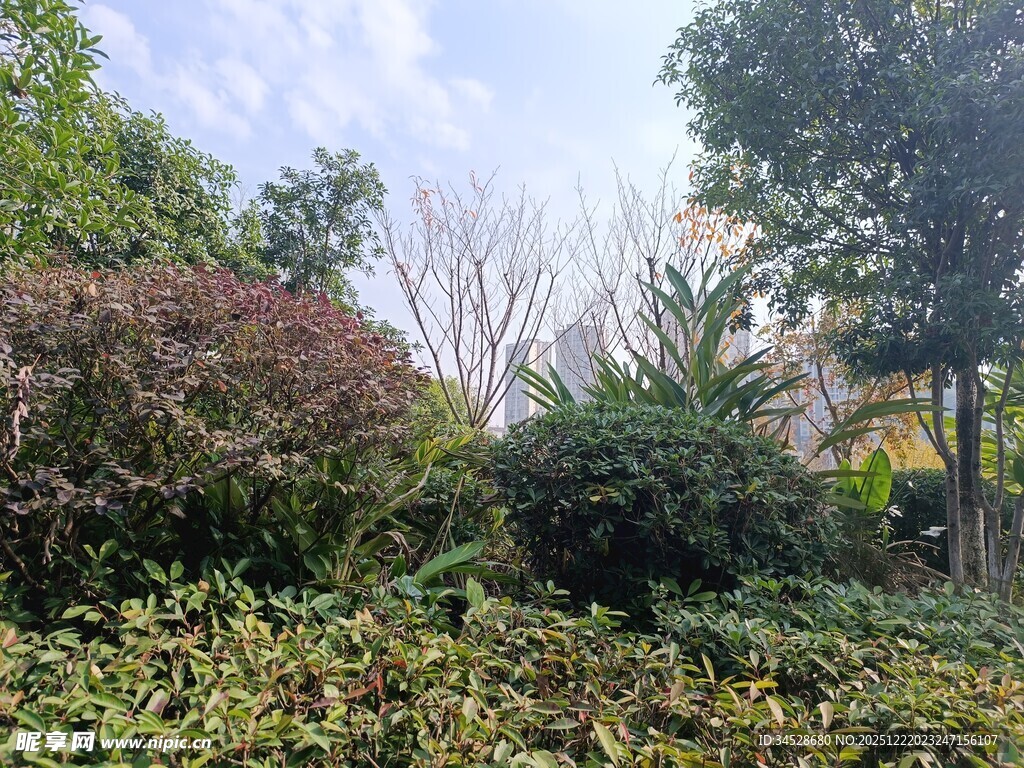 城市中的绿植景观