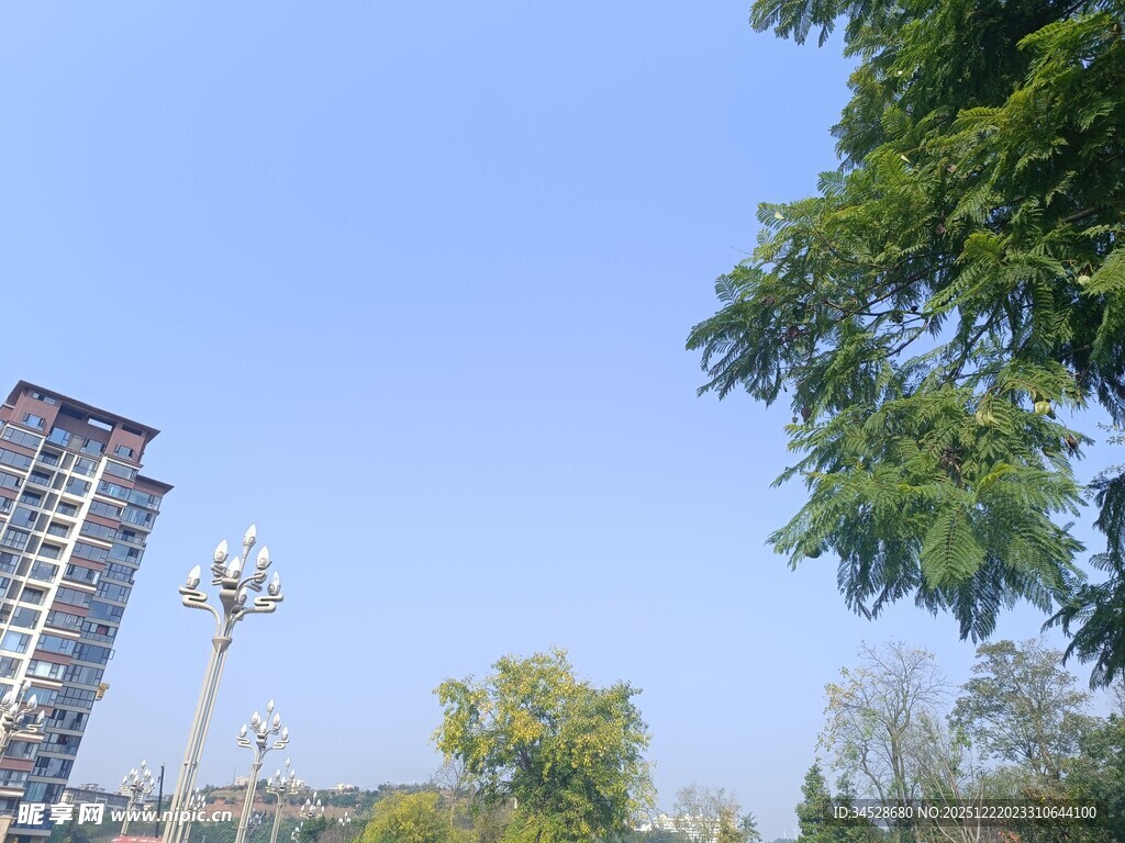 城市蓝天绿树旁的高楼