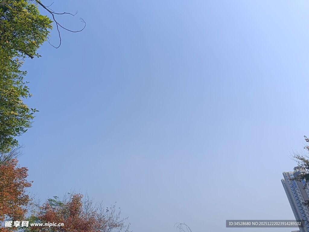 蓝天绿树间的城市景致