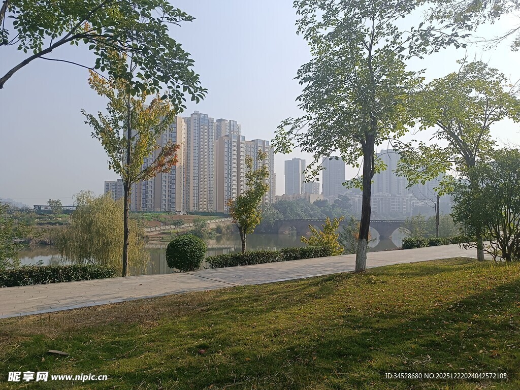 城市公园中的绿树与建筑