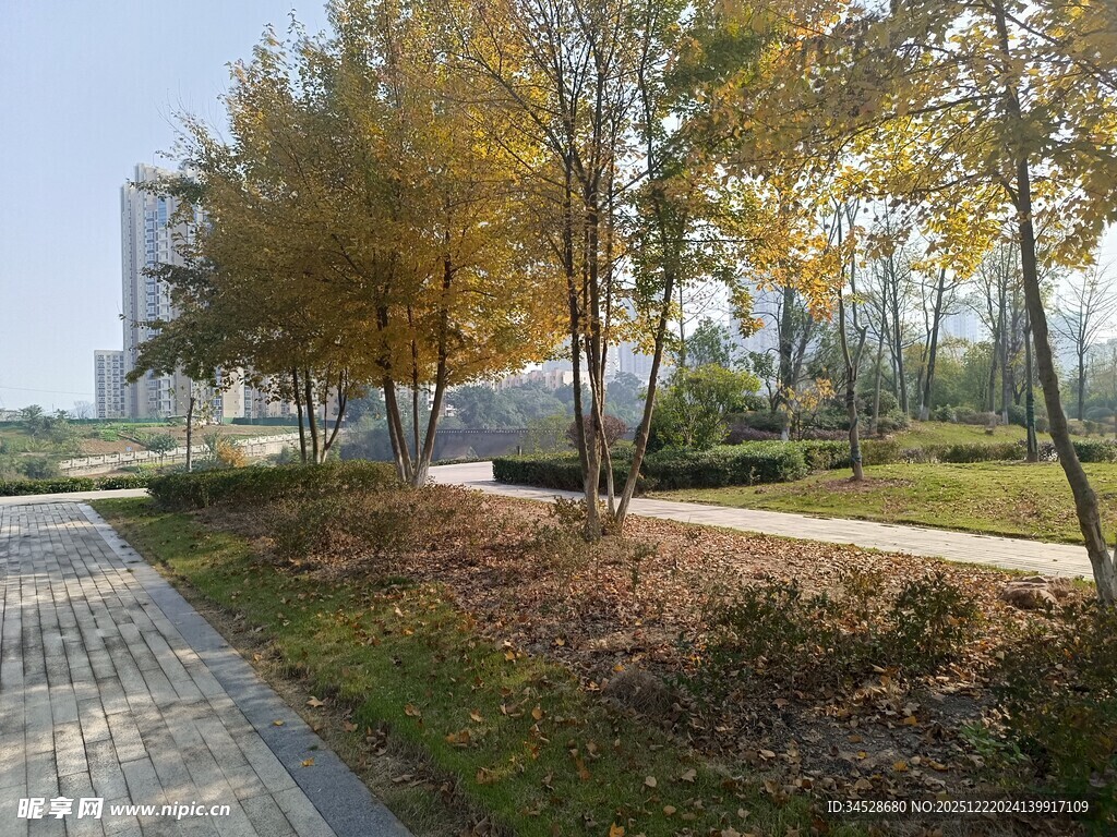 秋日公园小路风景