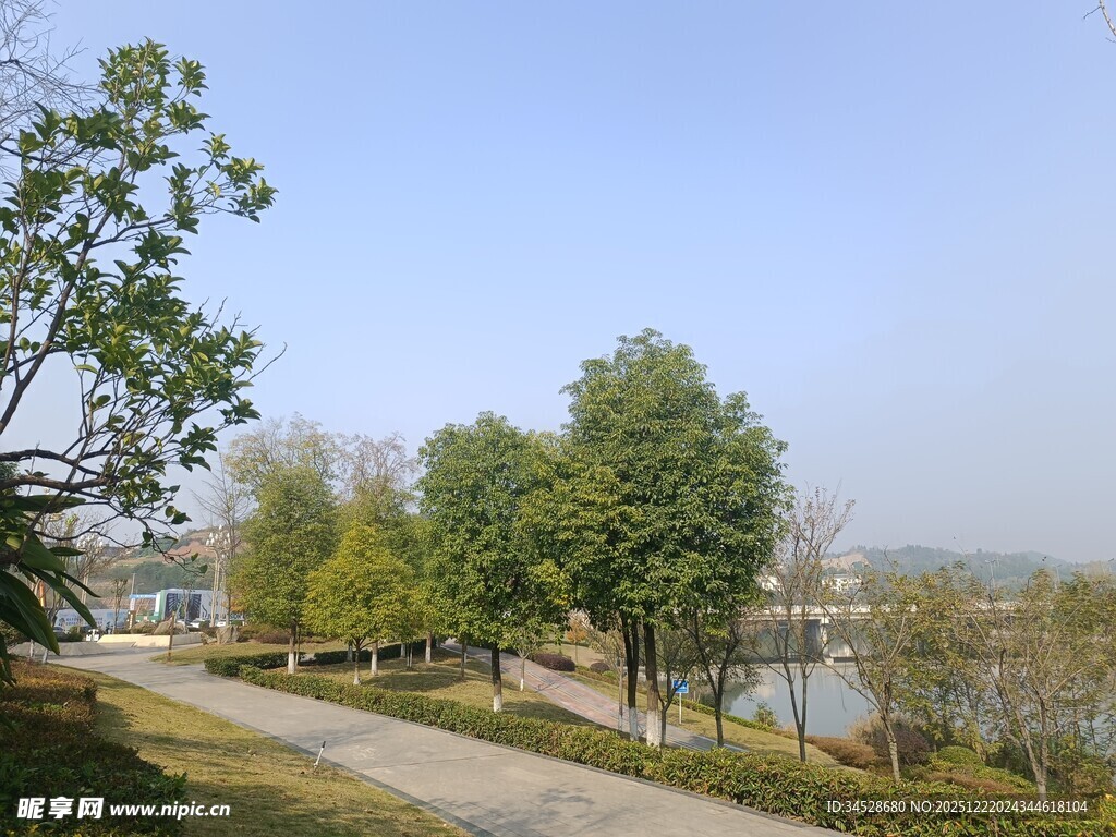 湖畔林荫小道风景