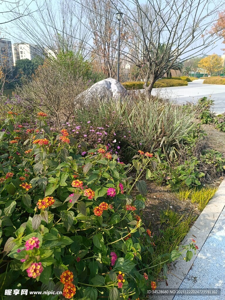 城市中的多彩花卉景观