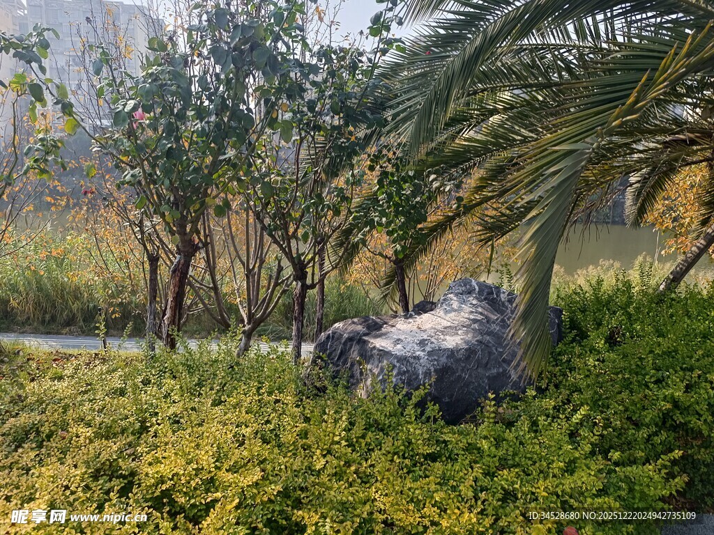 园林绿植景观中的石头