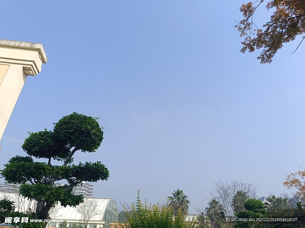 造型别致的户外景观树