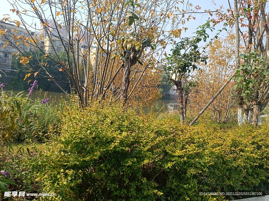 秋日园林绿植景观