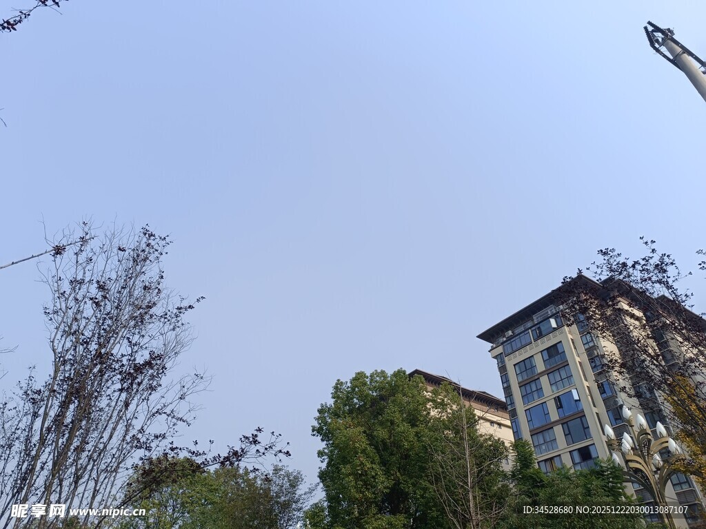 城郊别墅旁的萧瑟树木