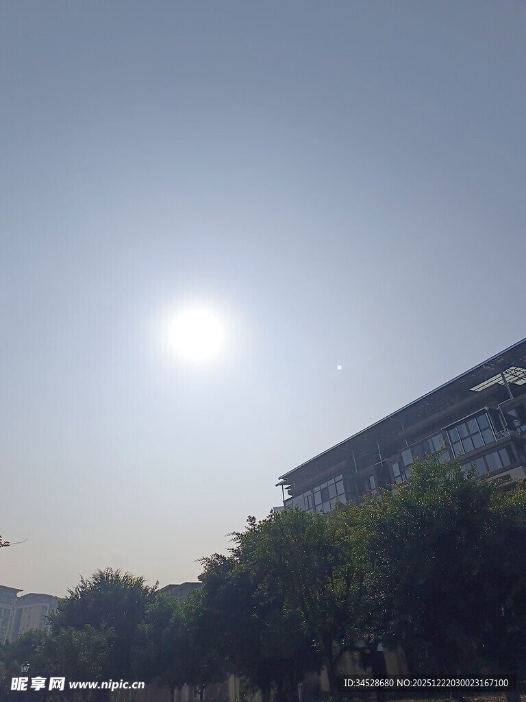 阳光下的建筑与绿树