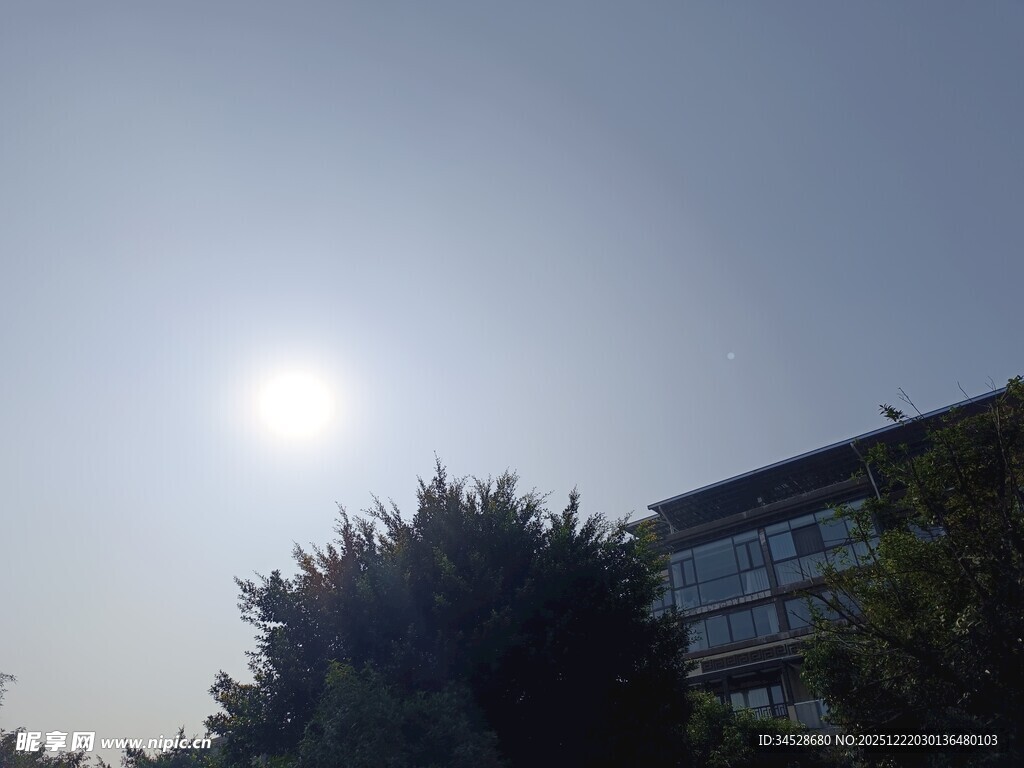 阳光下的建筑与树木