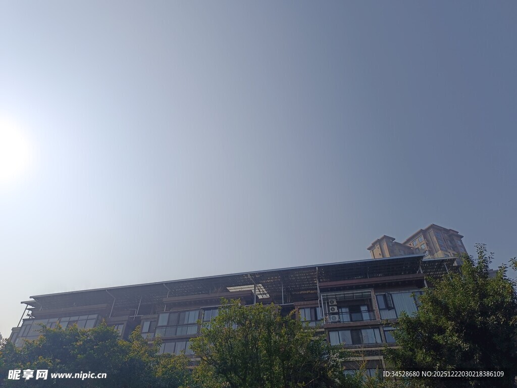 阳光下的建筑与绿植