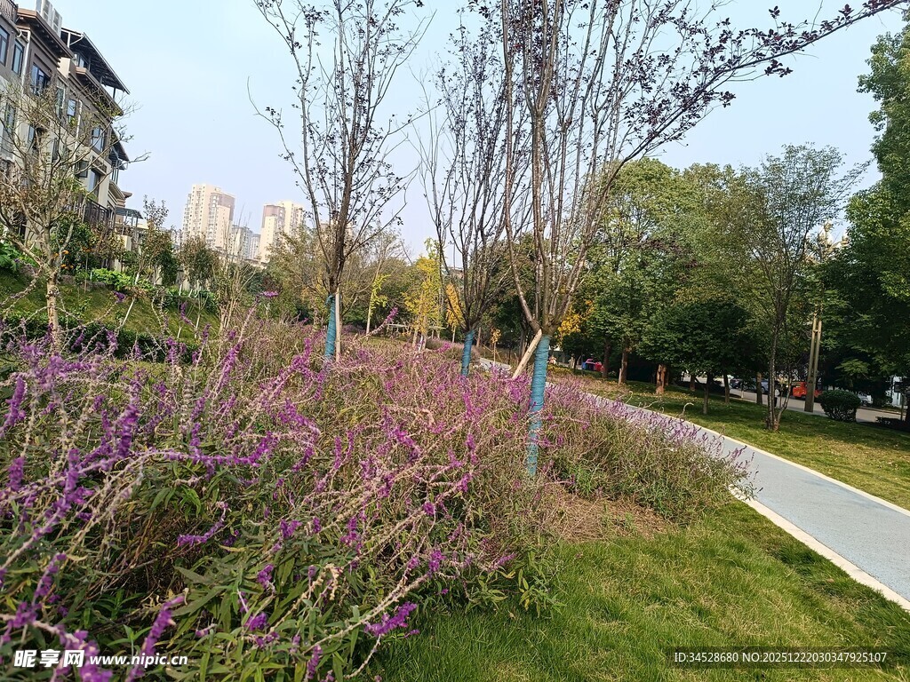 春日公园繁花小径美景