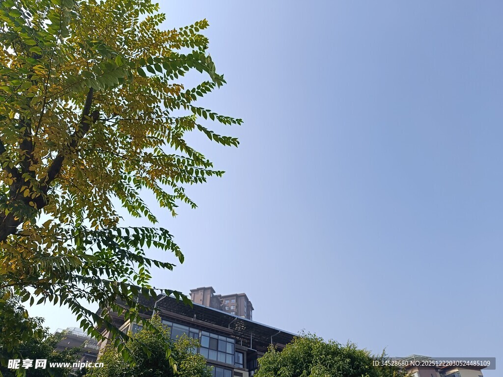 蓝天绿树旁的建筑景观