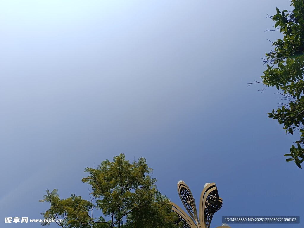 仰视路灯与绿树蓝天