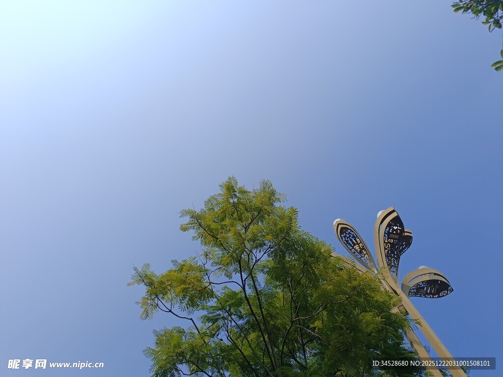 蓝天绿树间的路灯