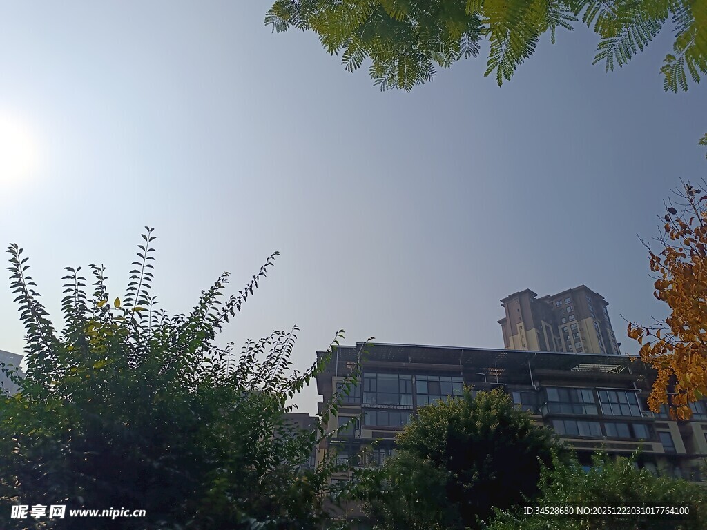 阳光下的建筑与绿植