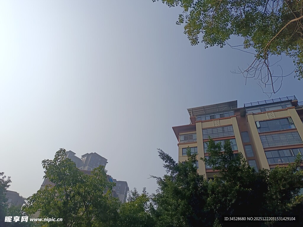 绿树环绕的多层建筑