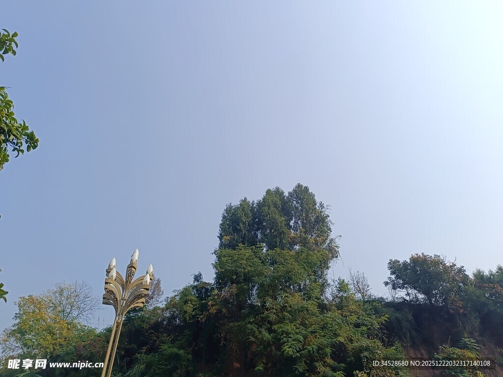 绿树蓝天自然景致