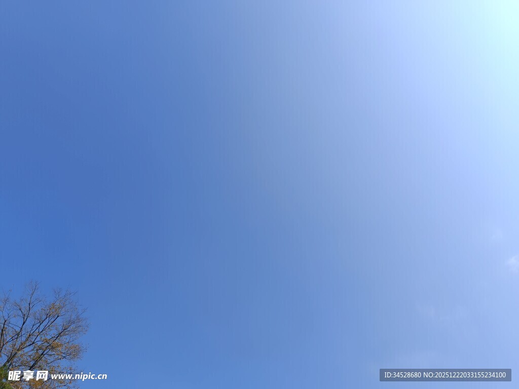 晴朗蓝天与树梢