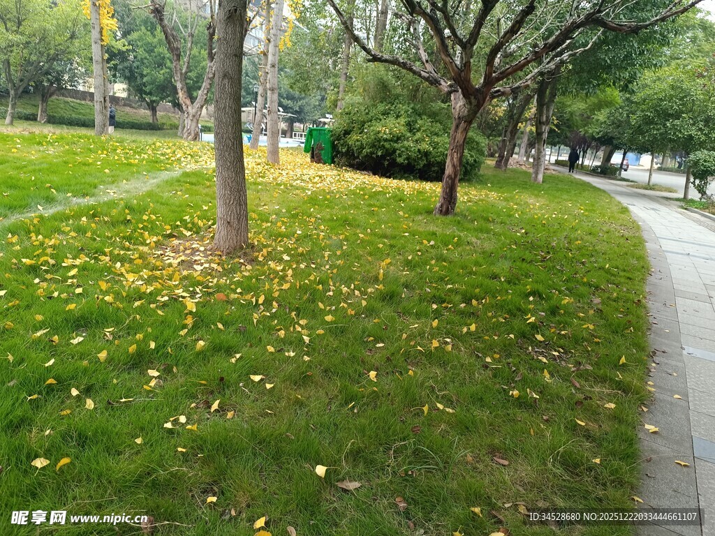 秋日公园草地与小径景色