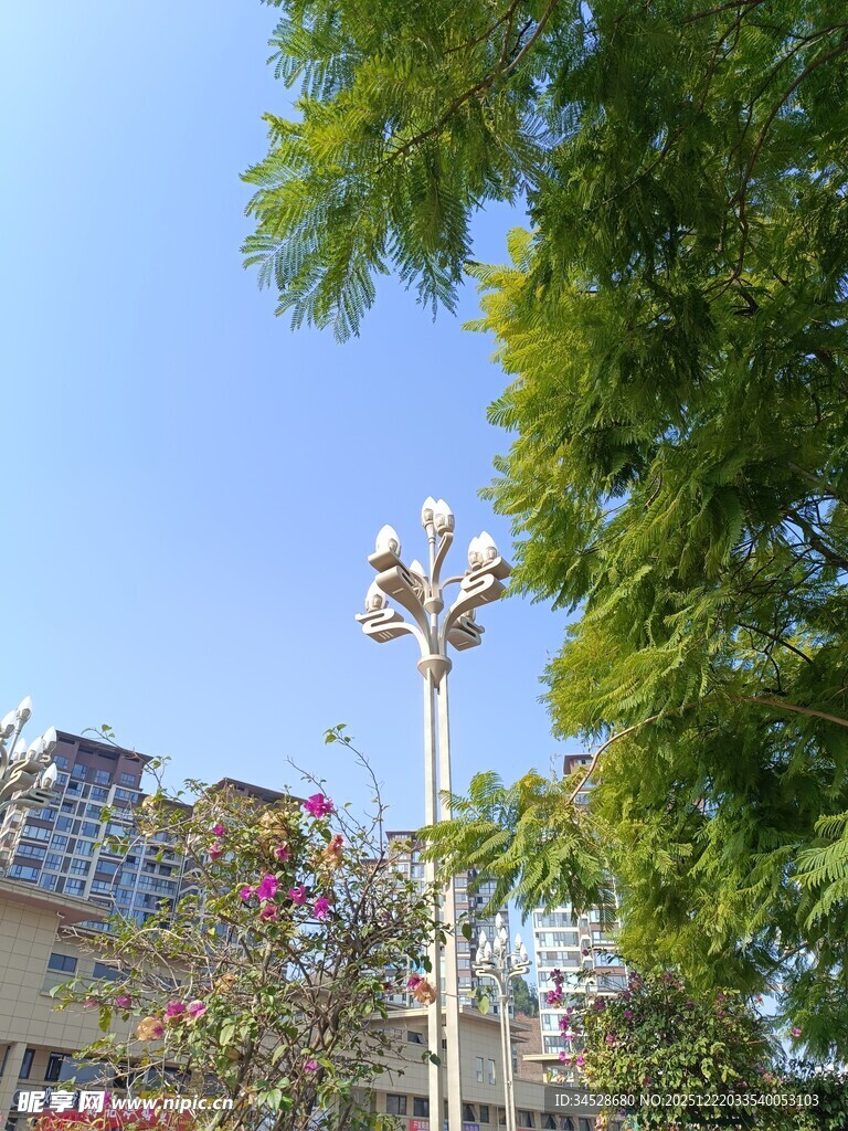 户外绿树旁的照明路灯