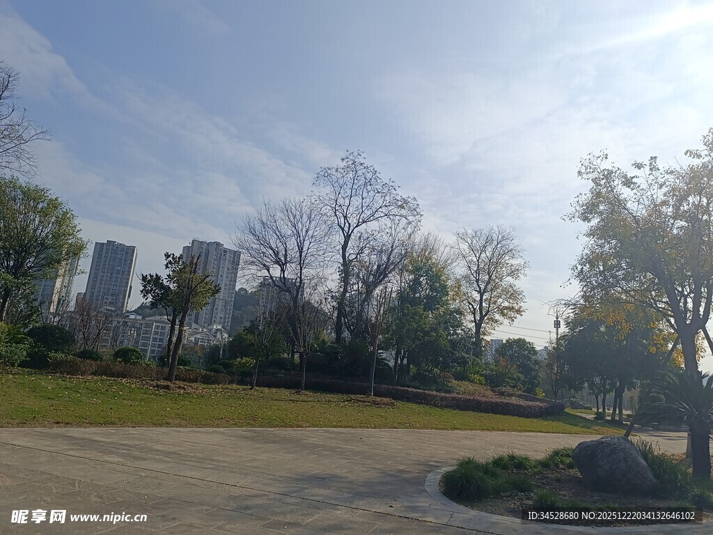 城市公园冬日景致