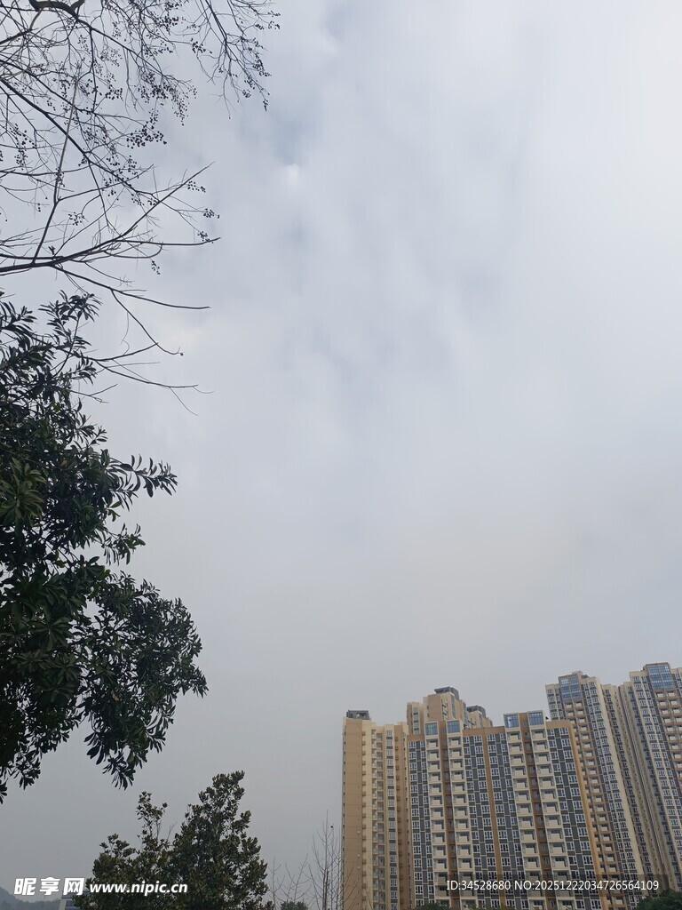 城市高楼与树木景观