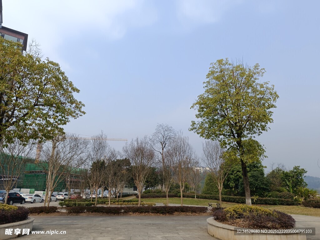 城市户外开阔绿化景观