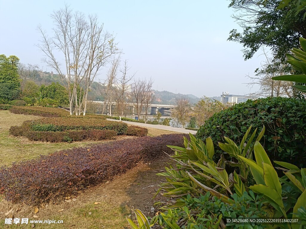 园林景观绿植景致优美