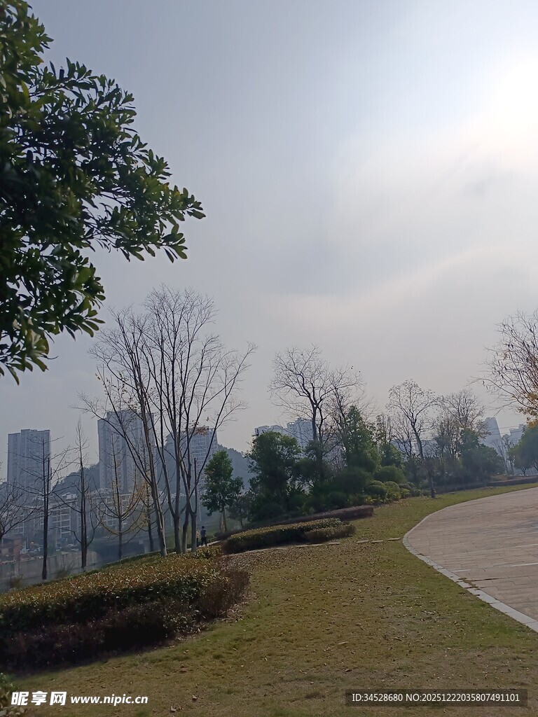 城市公园中的开阔景观