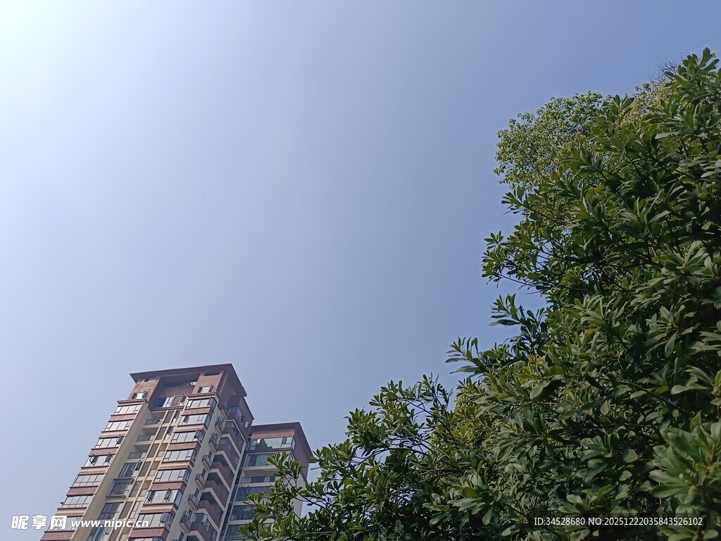 高楼旁的绿树蓝天