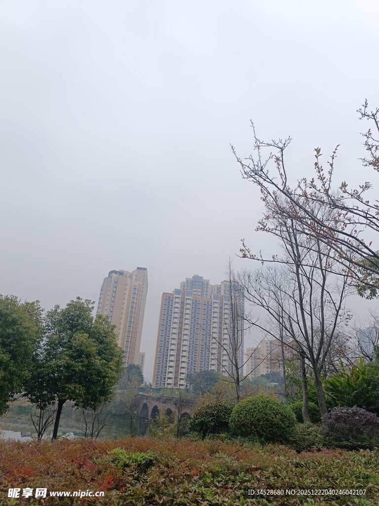 雾中城市与绿植景观