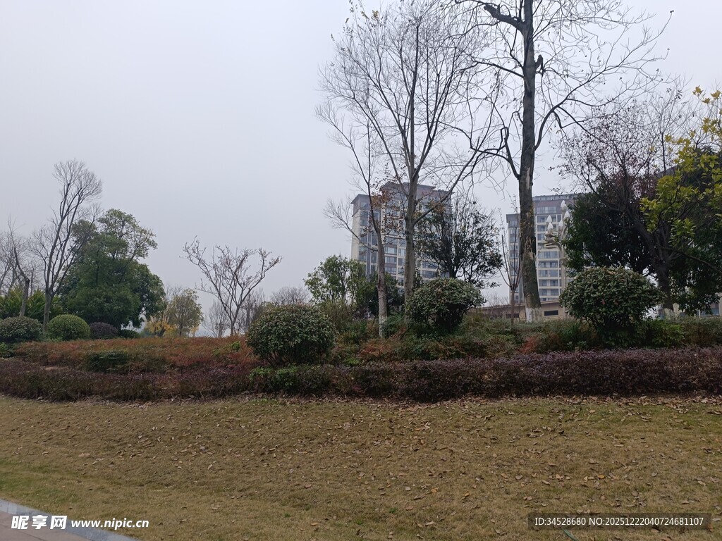 户外冬日园林景观