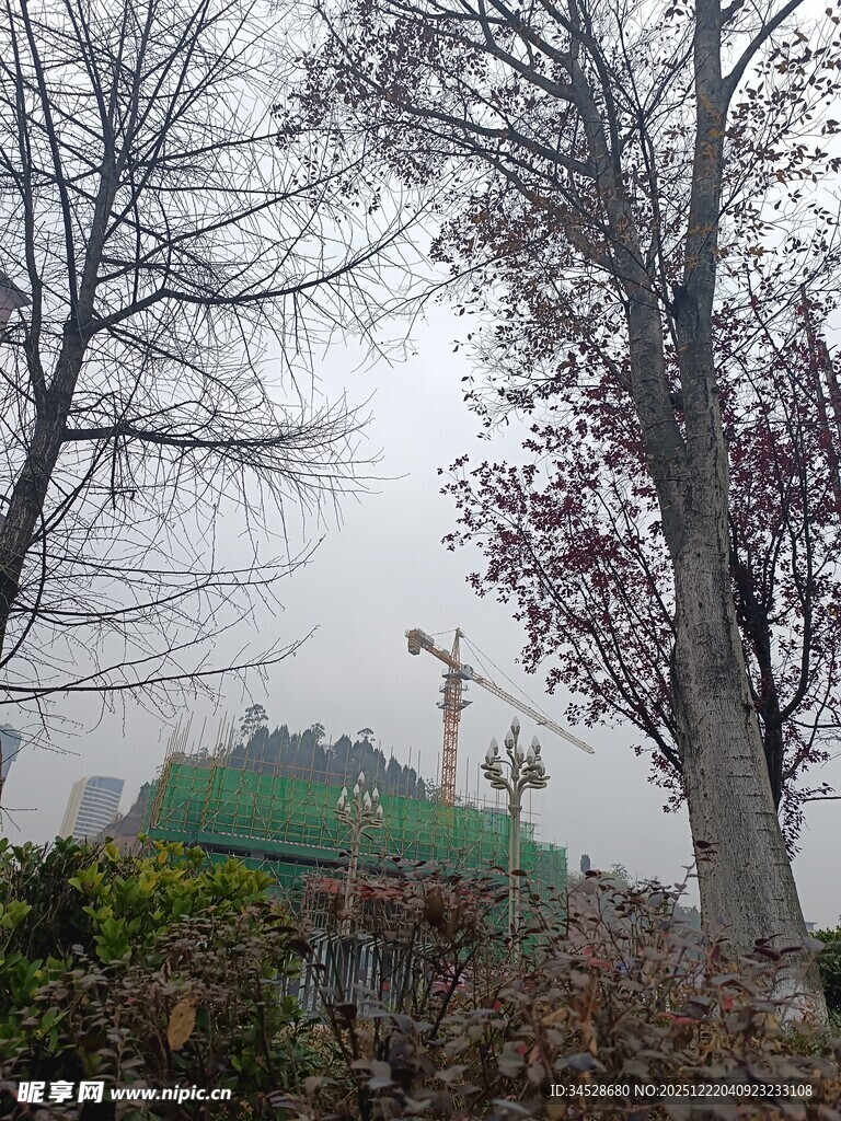 雾中树林与远处绿色建筑