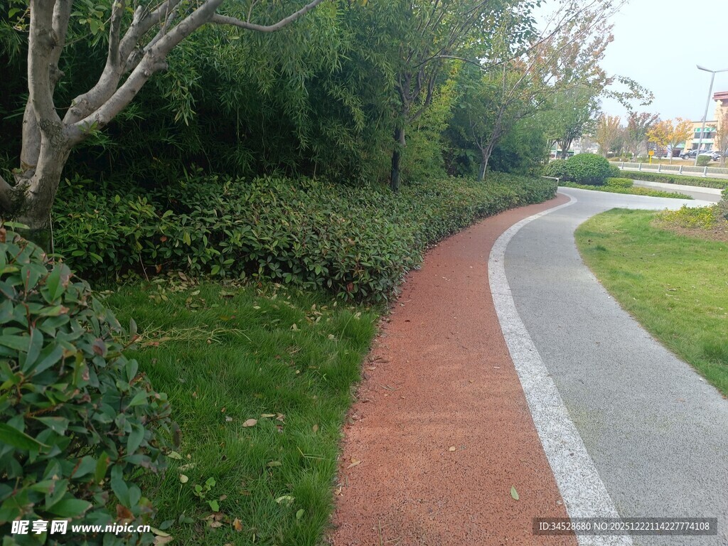 城市中蜿蜒的彩色步道