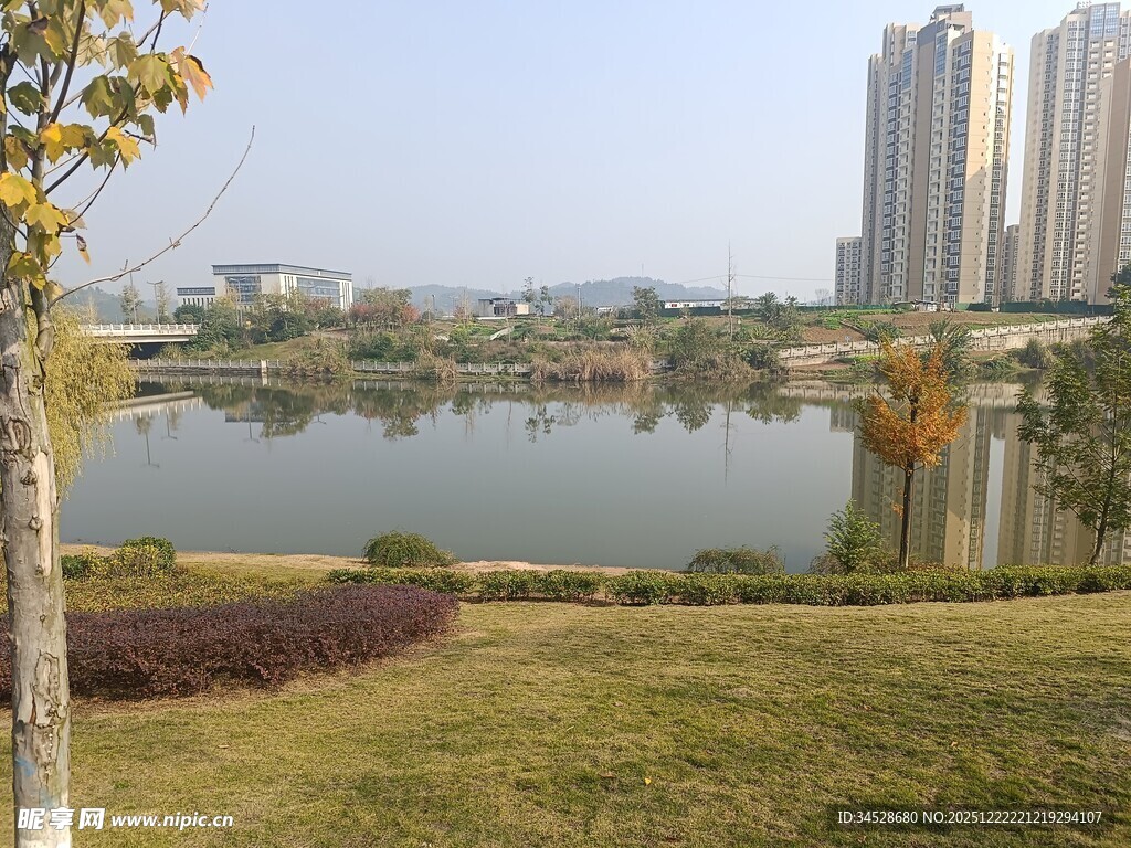 湖畔城市风光美景