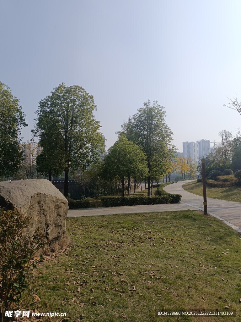 户外草地树木景观图