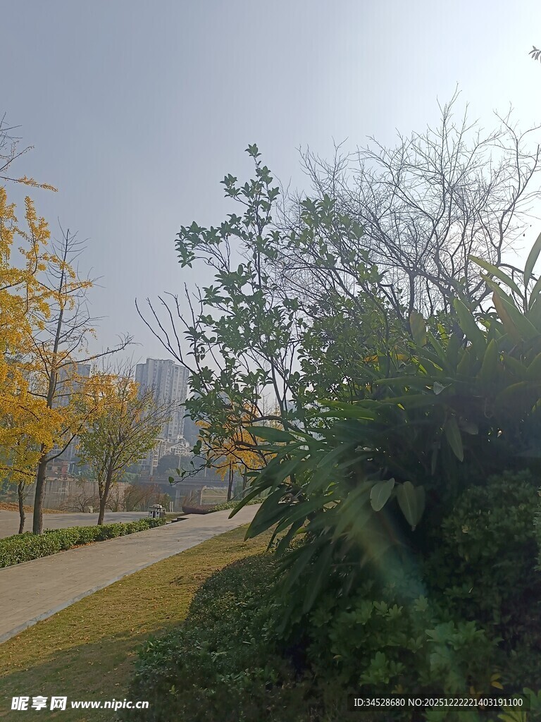 秋日公园小径风景